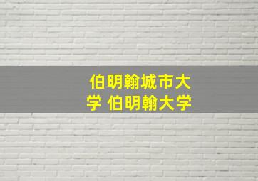 伯明翰城市大学 伯明翰大学